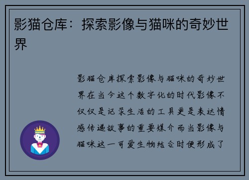 影猫仓库：探索影像与猫咪的奇妙世界